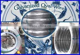 4.55*5.25mmGalvanized Oval wire (factory of producing steel wire)