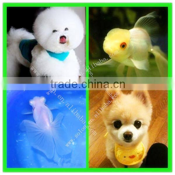 High output and good price extruders pet food for sale