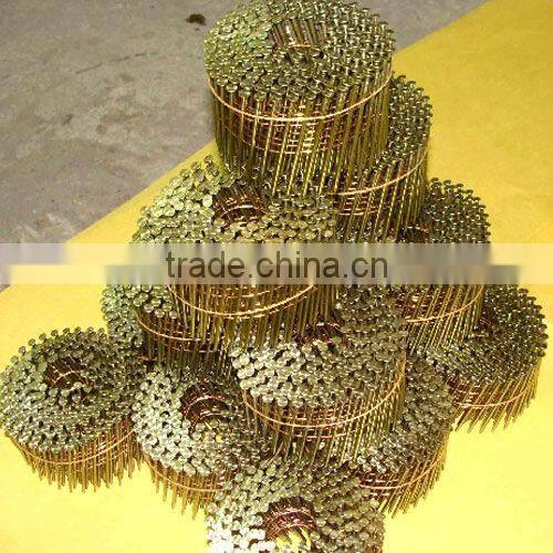 plastic collated high quality steel coil nails(2013)