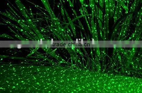 outdoor laser light ip65/waterproof Christmas laser/Garden laser light