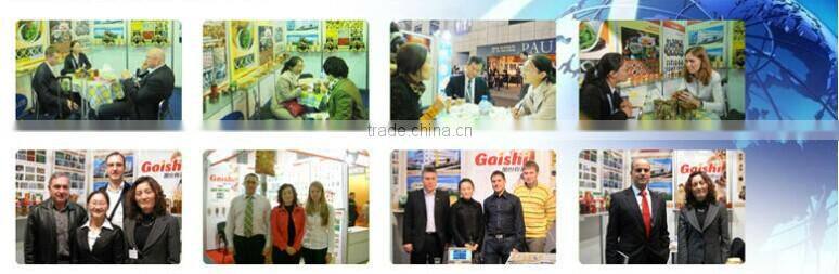 hot sale high quality delicious wholesale breadcrumbs