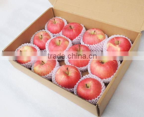 2016 Fresh Fuji apple from China Fresh Fuji apple price