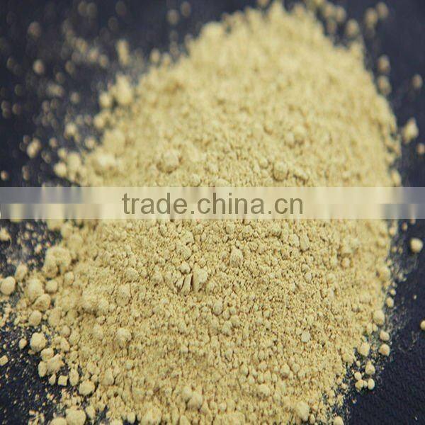 SALE Vegetable Powder Ginger Powder