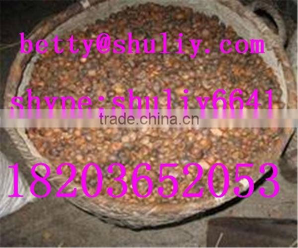 Newest design cocoa beans hydraulic oil expeller/walnut oil expeller/sesame oil expeller//0086-18203652053