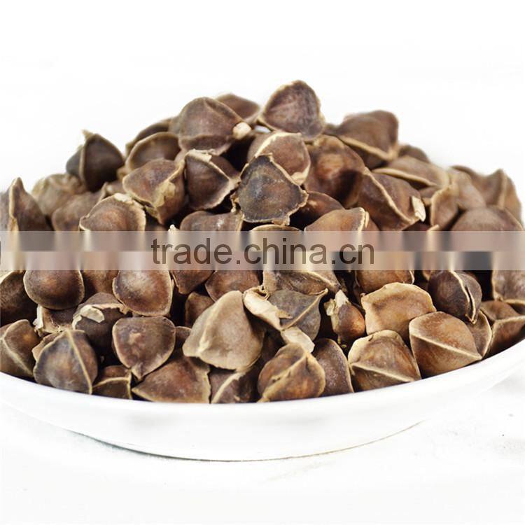 High Quality Dry Moringa Seed 1000g