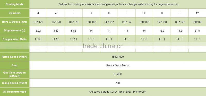 CE approved biogas generator/biogas power plant/biomass generator/chp