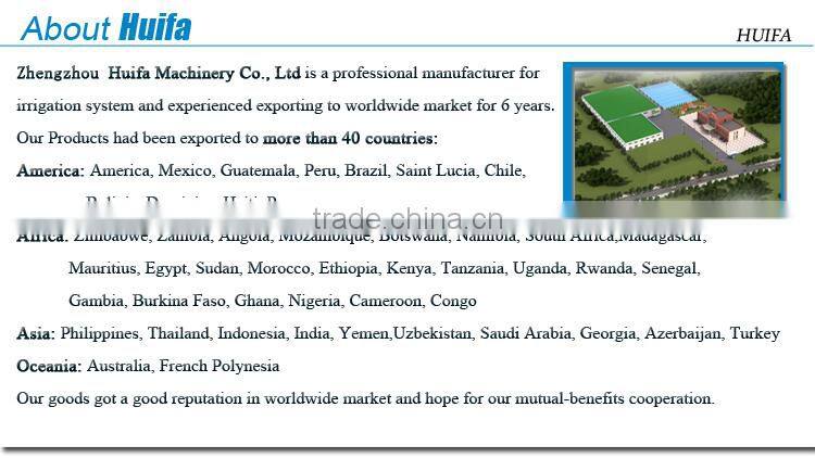 Large Multi-span Agricultural Greenhouse for Sale