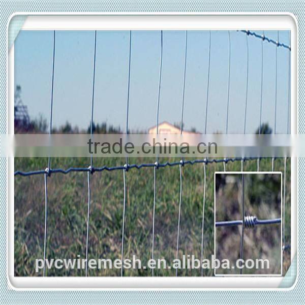 Hot dipped galvanized wire fencing horses