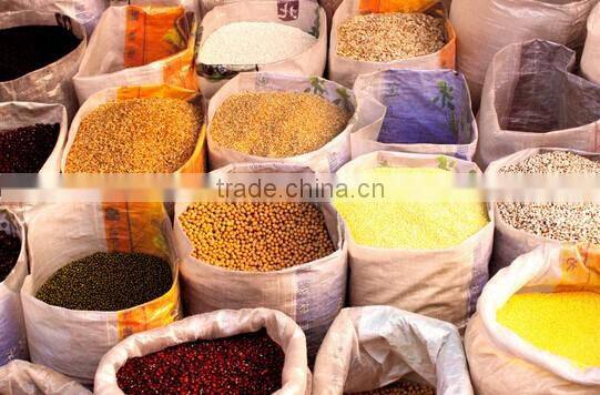 Seed gravity purifier