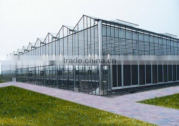 Factory price green houses agriculture