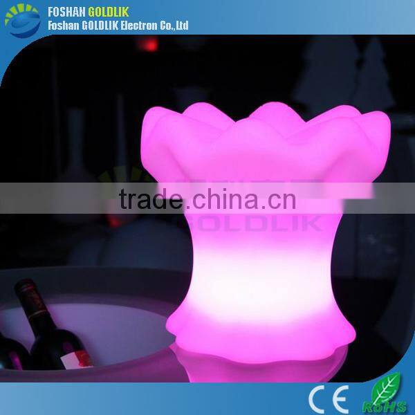 Indoor & Outdoor LED Decoration Lights/Holiday LED Lights