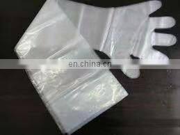 Factory Price PE Plastic Glove Bag Making Machine