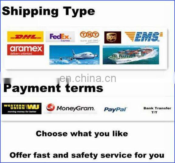 High Quality Fuel Injector Nozzle Tester S60H Nozzle Tester