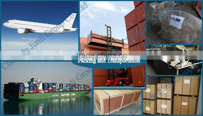 JLDF-G-0019 Life Size Museum Quality Dog Skeleton