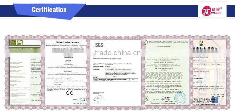 New Arrival Travel Hair Blower Dryer 1600W