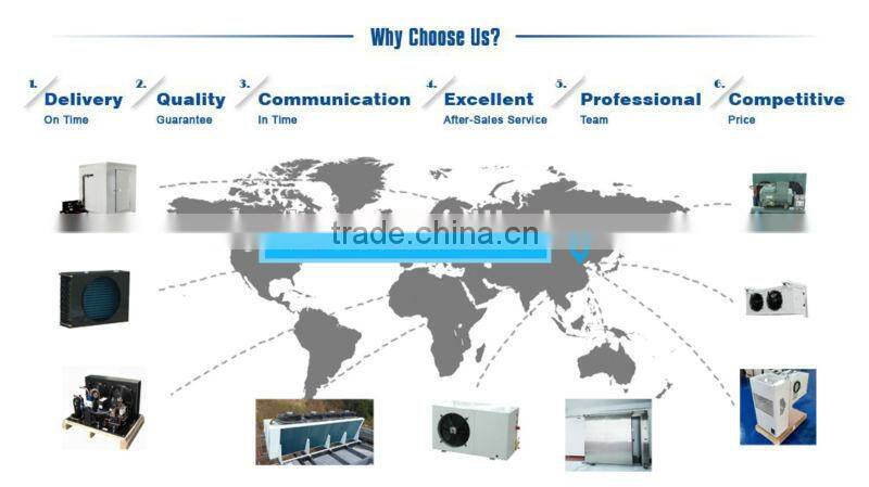 China hinged door for cold room,hinged door manufacture