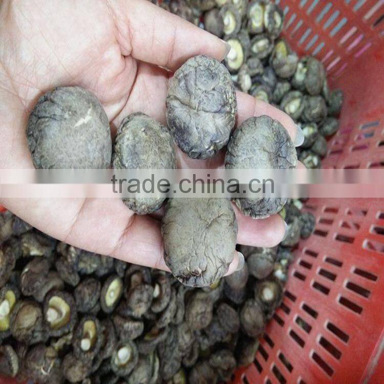 Bulk Dried Flower Shiitake Mushrooms from Chinese Factory