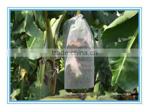 Hosipital pp nonwoven sheet