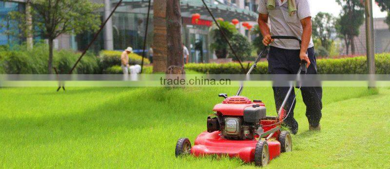 Top quality best sale made in China ningbo cixi manufacturer motorcycle parts spark plug