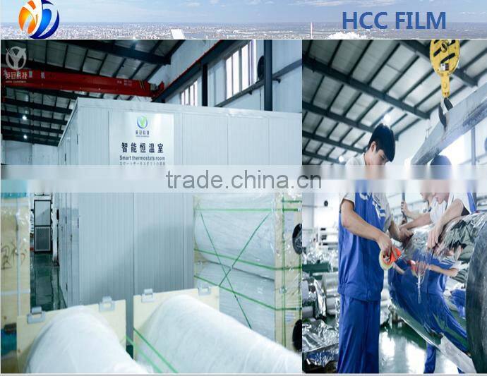 6 mic Metallized PET film( mylar film)