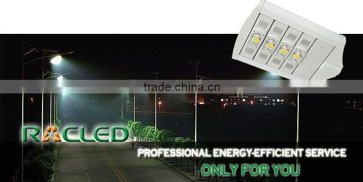 Modular COB LED street lights with high lumens and MW driver IP65