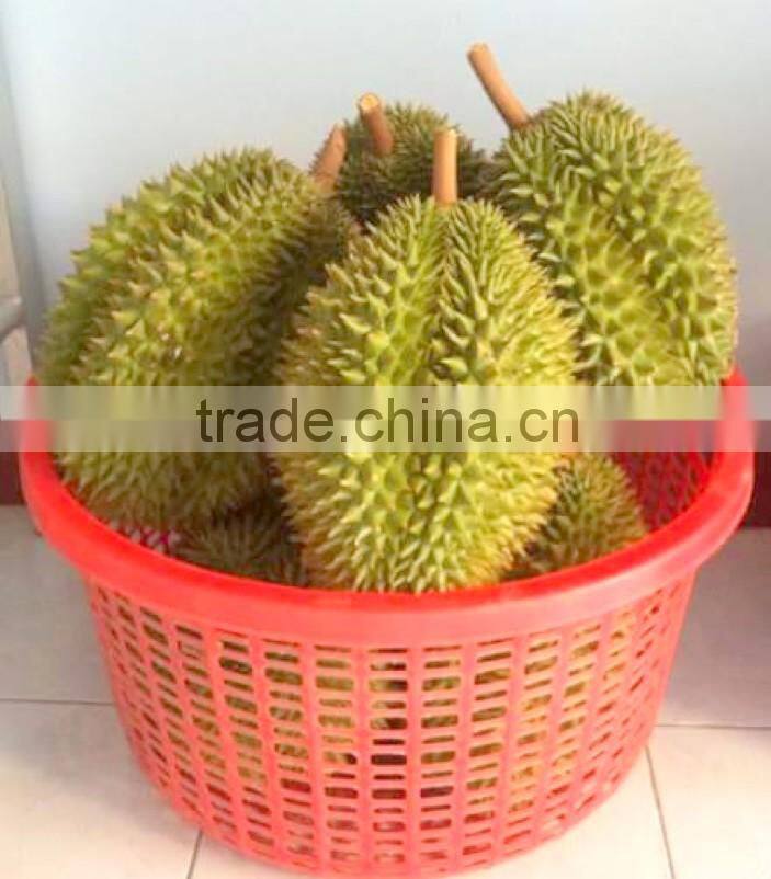VIET NAM DURIAN- monthong durian