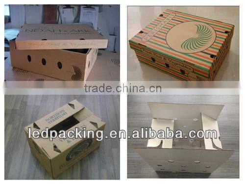 common corrugated paper tray