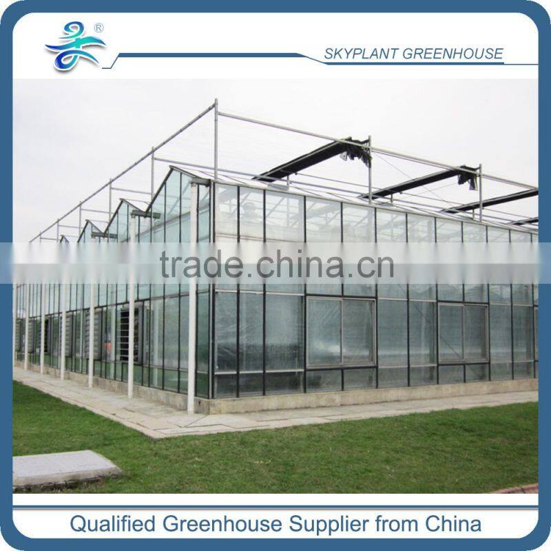 Sp-V-96-P Venlo plastic film span Greenhouse