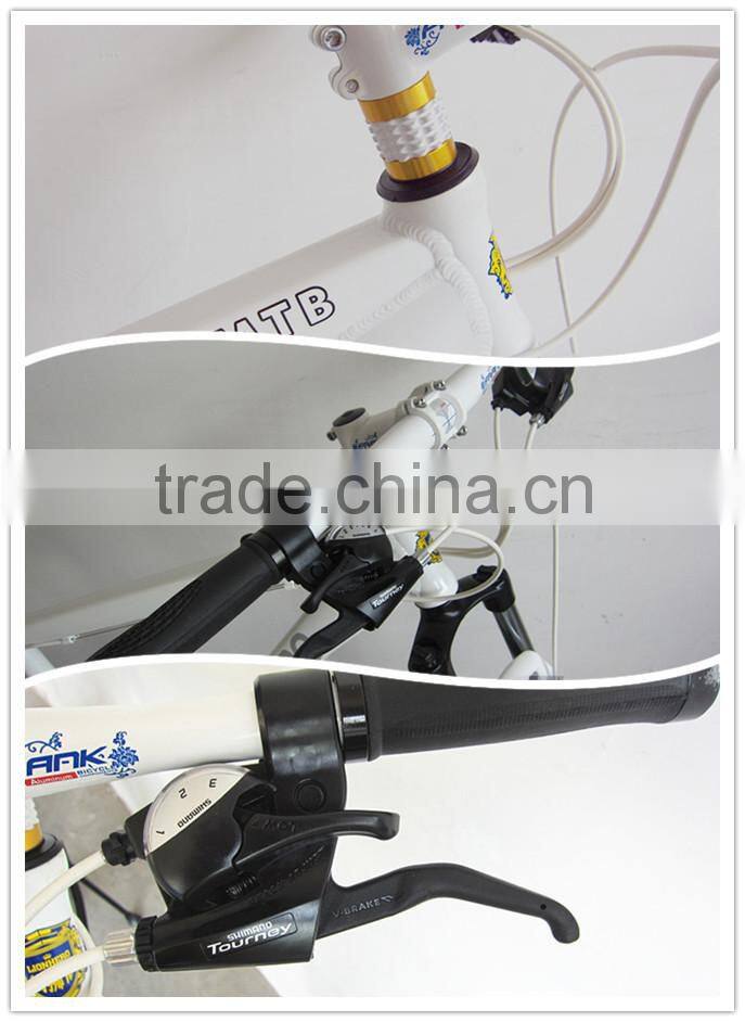 2014 Hot sale Lionhero Mountain Bikes&folding bicycle