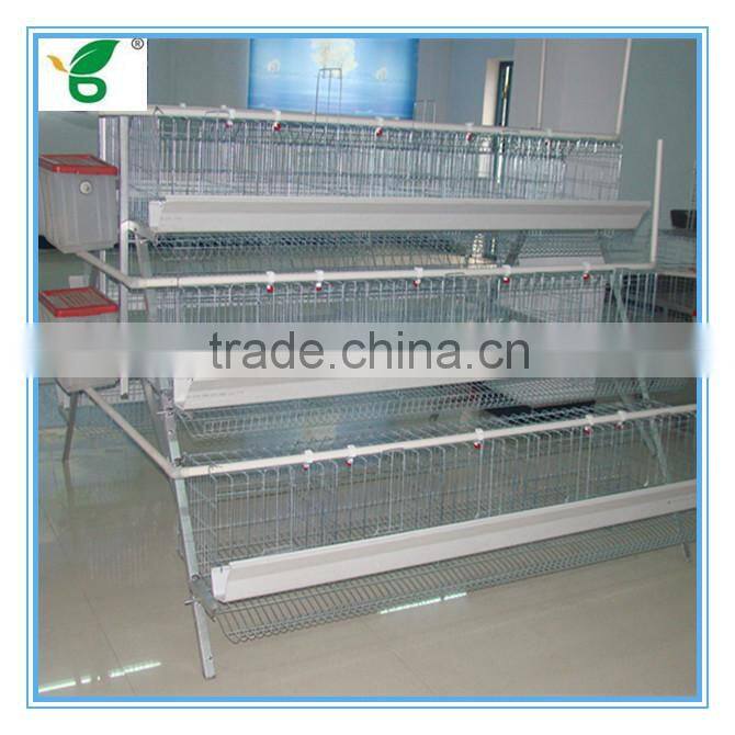 high efficiency automatic egg collection system