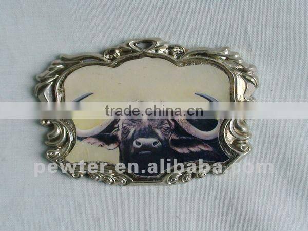 2012 dragonfly fridgemagnet 0073