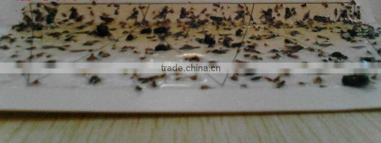 surplus stock for sale Sticky Trap type Mosquito killer/ trap,fly swatter killer/ trap