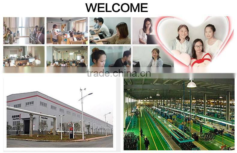 Padlock bike electric lock disc alarm lock/brake lock/wheel lock/Security Anti-theft Rotor Disc Brake