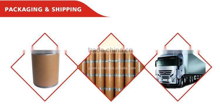 China supply lotus leaf P.E., Weight Loss product lotus leaf extract powder