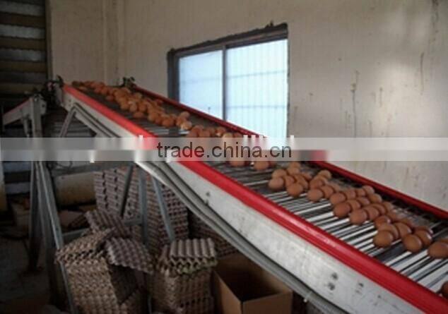 design layer chicken cages