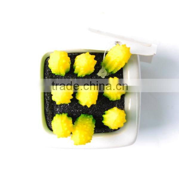Artificial Succulents with ceramic pot with yellow spines