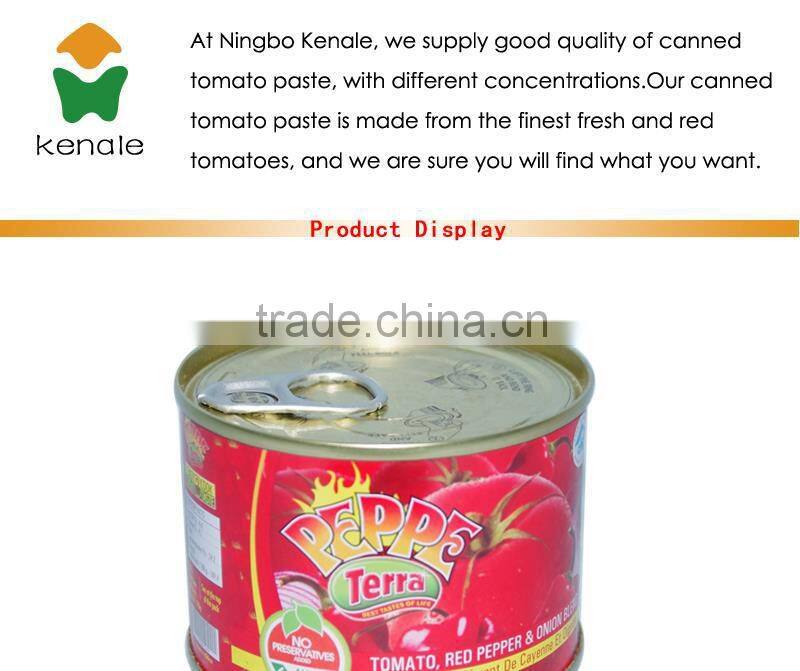 High Quality tomato paste production 210gx48tins