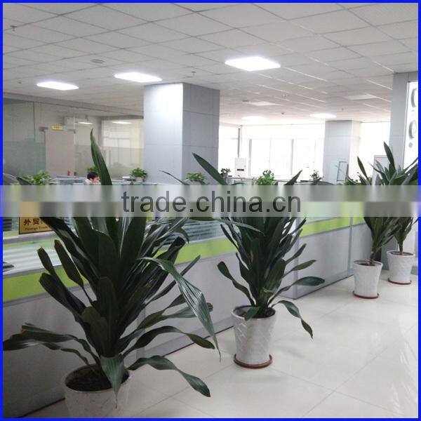 hot selling 30leds ws2812b addressable 5050 led strip ip65