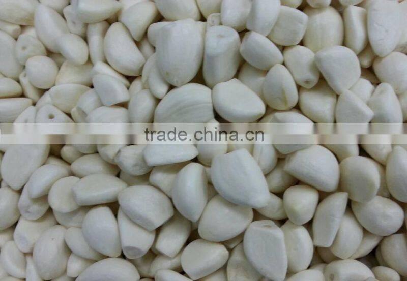 IQF Peeled Garlic