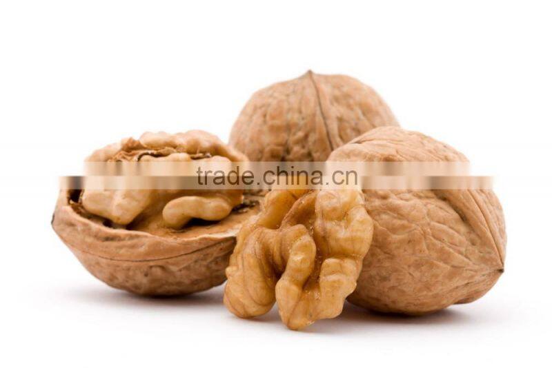 Walnut hot sale