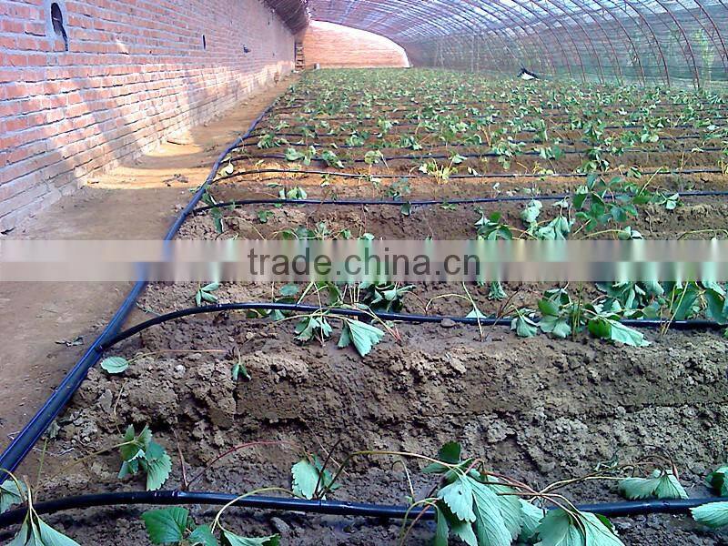 Agriculture drip irrigation systems inline flat emitters drip irrigation trip