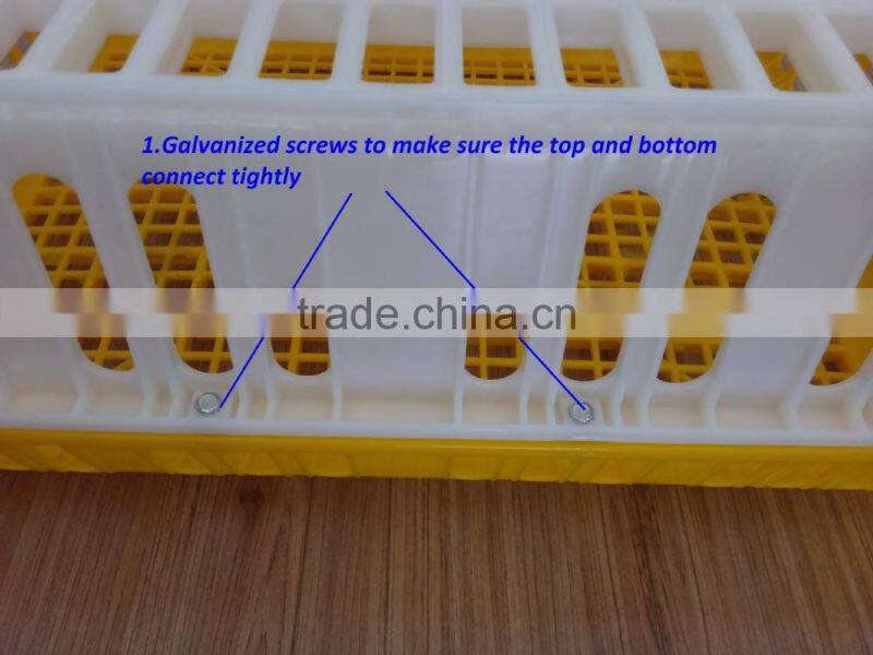 European Union hot selling plastic chicken transport box