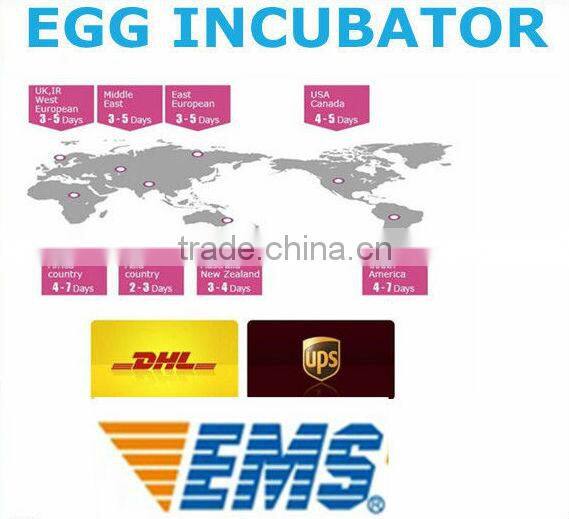 2015 New design best quality automatic poultry abattoir equipment EW-50