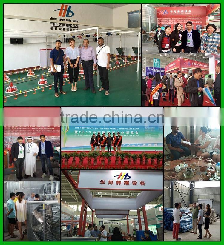 HB Hot selling automatic poultry nipple for chicken nipple drinker system