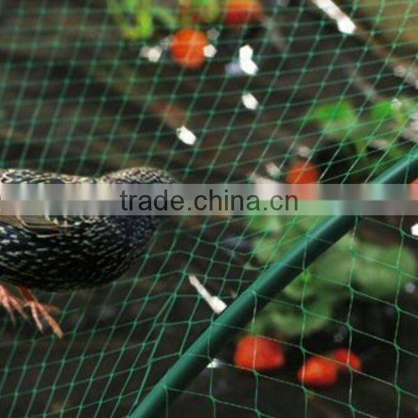 No knot anti-bird net