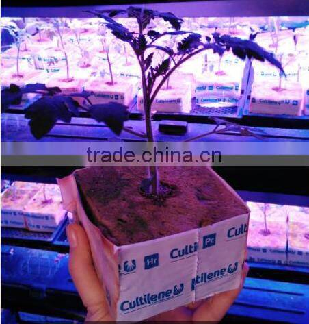 Greenhouse used hydroponic rock wool