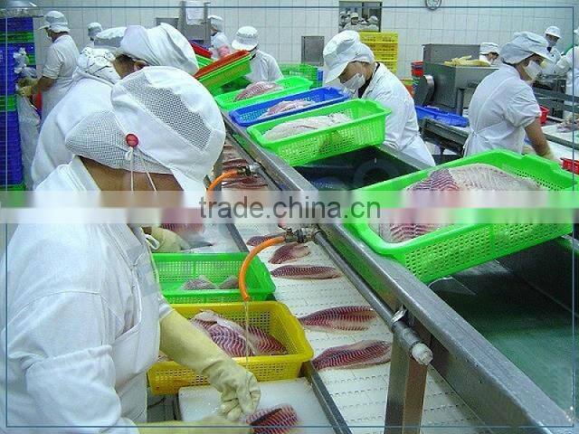 Conveyor Components, Chain Inlet Guide Shoe