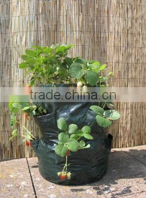 Popular PE Strawberry Planter Bag,Grow Bag
