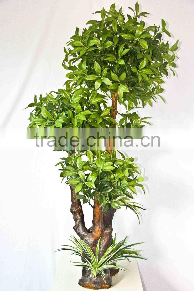 Office decorative green plants