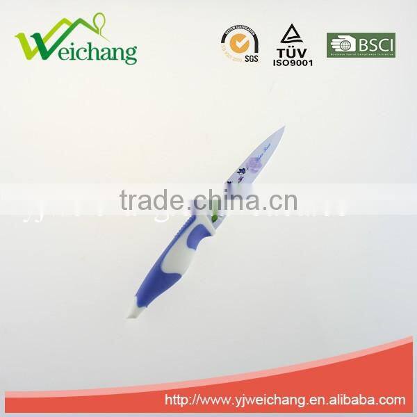 WCE567 5 pcs set Kitchen Knives artwork painting blade PP with TPR handle , hot sale, Wholesale